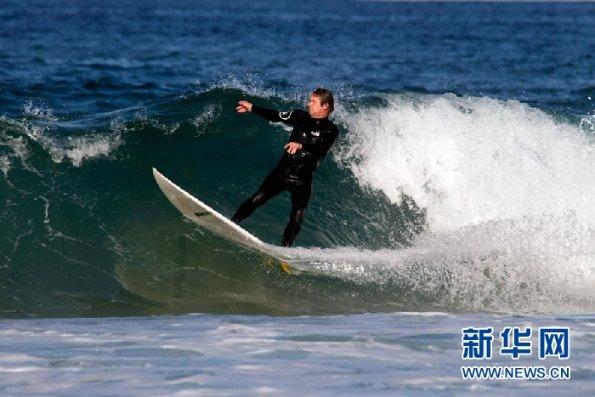 观复猫各有潜能、身怀绝技,戏精王情圣,雄霸一方戴南瓜等,你家的猫有什么潜能呢?-冷知识分享平台